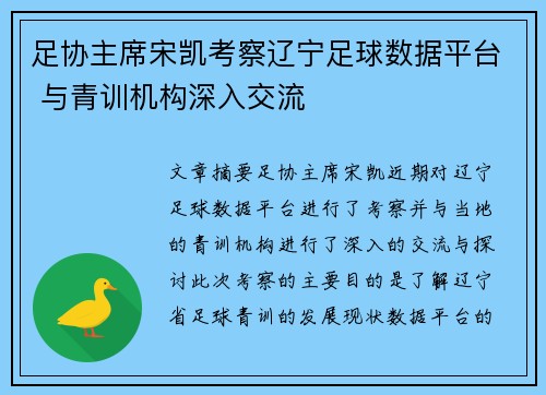 足协主席宋凯考察辽宁足球数据平台 与青训机构深入交流